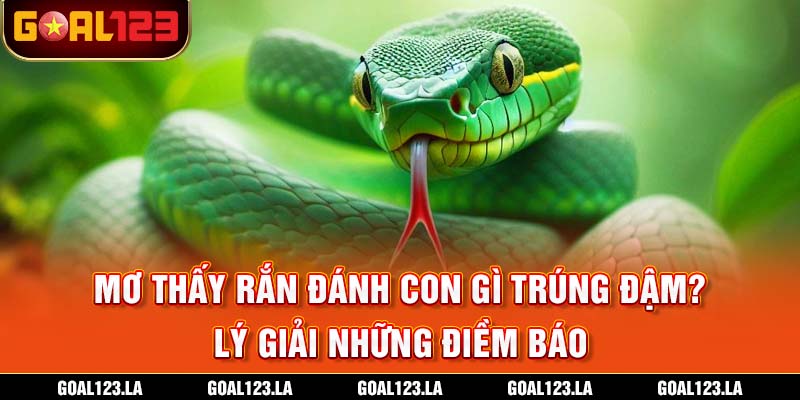 Mơ Thấy Rắn Đánh Con Gì Trúng Đậm? Lý Giải Những Điềm Báo